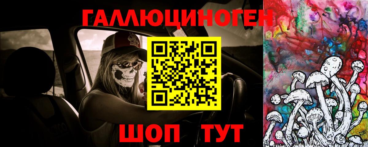 продажа наркотиков  Галлюциногенные грибы Psilocybine cubensis  Лосино-Петровский  Вход с VPN  Галлюциногенные грибы GOLDEN TEACHER 